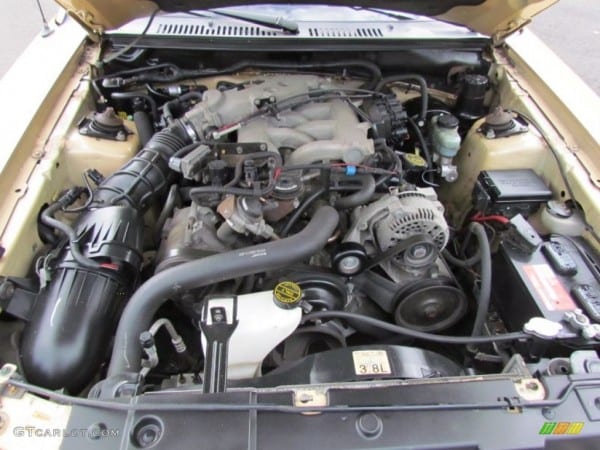 2000 Ford Mustang V6 Coupe 3 8 Liter Ohv 12 2000 Ford Mustang V6 Coupe 3 8 Liter Ohv 12