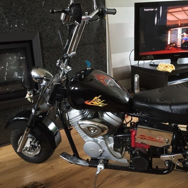 Harley Davidson Pocket Bike â Motorrad Bild Idee Harley Davidson Pocket Bike â Motorrad Bild Idee