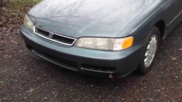 1994 1994
