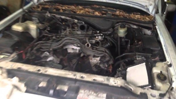Shortbed Chevy Vortec And A Town Car Engine Swap Shortbed Chevy Vortec And A Town Car Engine Swap