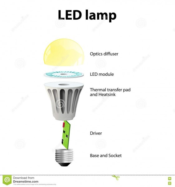 Basic Components Of Led Light Bulbs Stock Vector Basic Components Of Led Light Bulbs Stock Vector