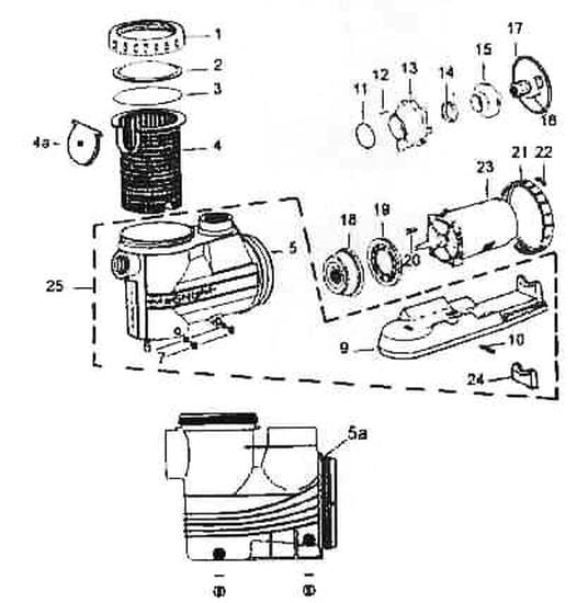 Jacuzzi Magnum Pool Pump Wiring Jacuzzi Magnum Pool Pump Wiring
