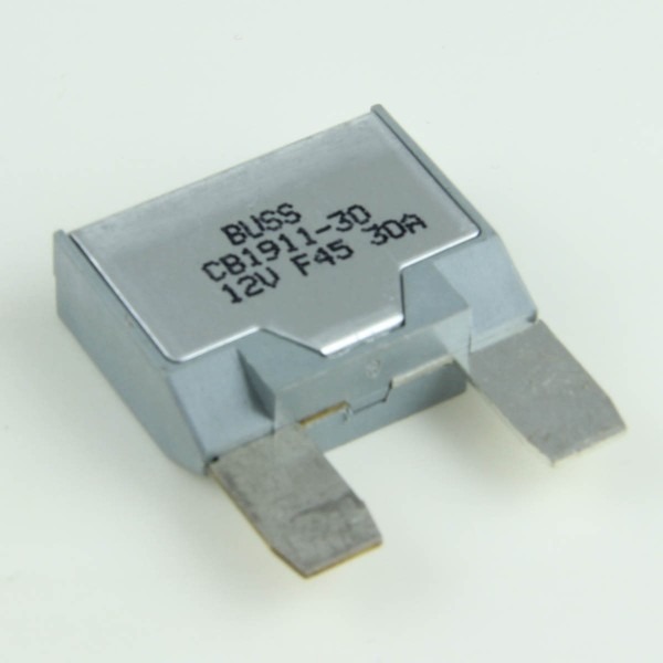 30 Amp Auto 30 Amp Auto