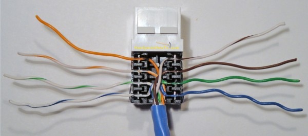 Rj45 Wall Box Wiring Diagram Rj45 Wall Box Wiring Diagram