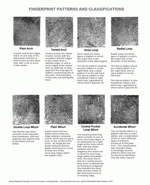 Fingerprinting Merit Badge Car Wiring Diagram