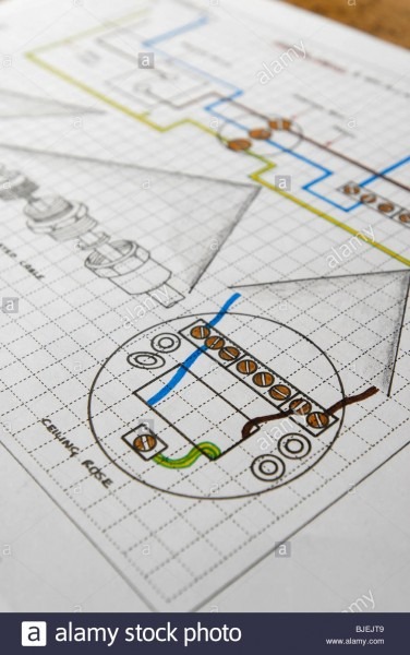 Technical Drawing Of Electrical Ceiling Rose Wiring Diagram Stock Technical Drawing Of Electrical Ceiling Rose Wiring Diagram Stock