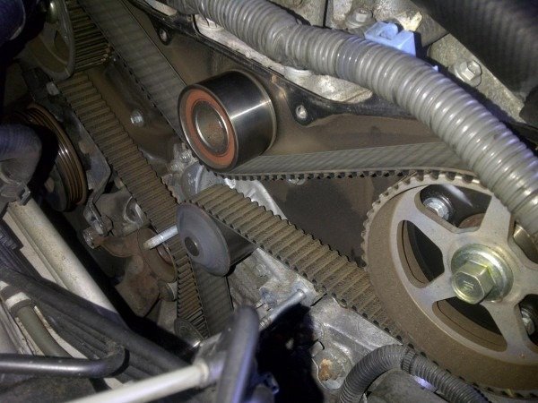 thumbnail image 2 of Lexus OEM Timing Belt – 1993-2006 ES300 & ES330 (13568-09080) 2 of 6