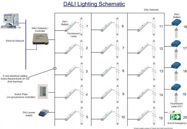 Dali Wiring Diagram Dali Wiring Diagram