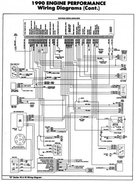 Totaline Thermostat Wiring
