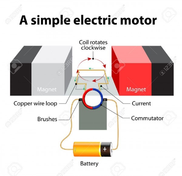 Simple Electric Motor  A Rectangular Loop Of Wire Is Sitting