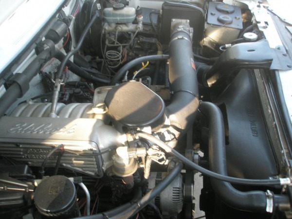 Turbo_rebel07 1994 Ford F150 Regular Cab Specs, Photos Turbo_rebel07 1994 Ford F150 Regular Cab Specs, Photos
