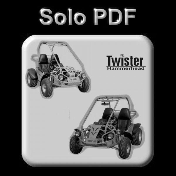 Hammerhead Twister 250