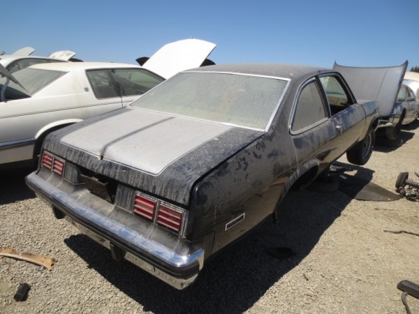 1976 Chevrolet Nova Junkyard Find 1976 Chevrolet Nova Junkyard Find