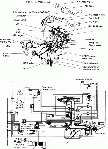 1996 Toyota Tercel Engine Diagram