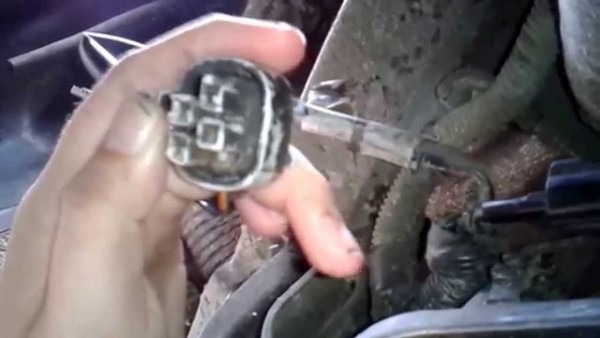 Isuzu Rodeo Fuel Wiring Connections Isuzu Rodeo Fuel Wiring Connections