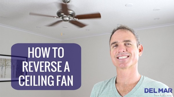 Ceiling Fan Reverse Switch Wiring Diagram