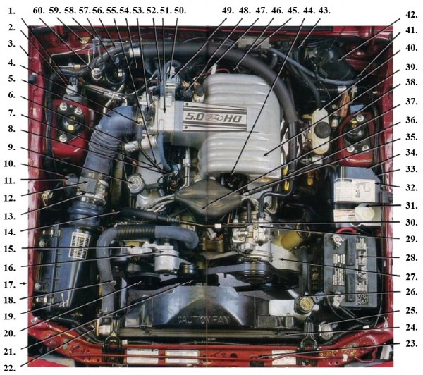 Engine Wiring Diagram For 95 Mustang Gt Engine Wiring Diagram For 95 Mustang Gt